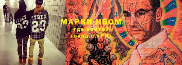 прущие грибы Белоозёрский