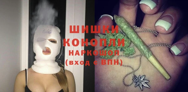 прущие грибы Белоозёрский
