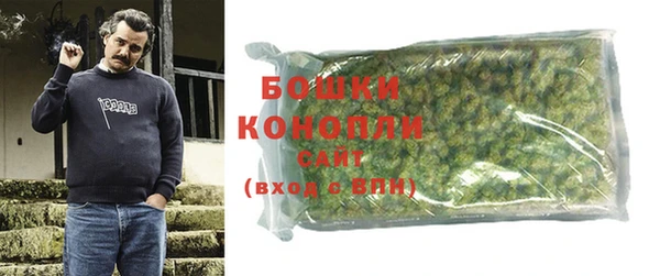 прущие грибы Белоозёрский